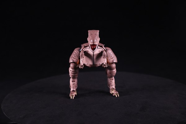 MP 41 Dinobot Beast Wars Masterpiece Even More Promo Material With Video And New Photos 37 (37 of 43)